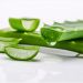 Aloe Vera Benefits