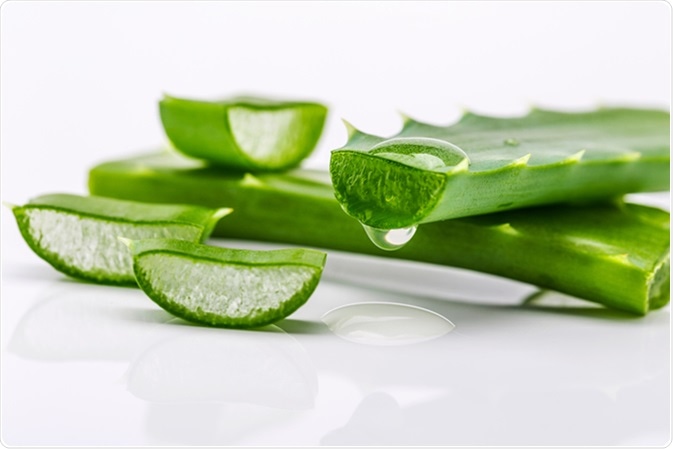 Aloe Vera Benefits